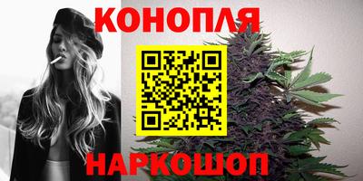индика Краснокаменск